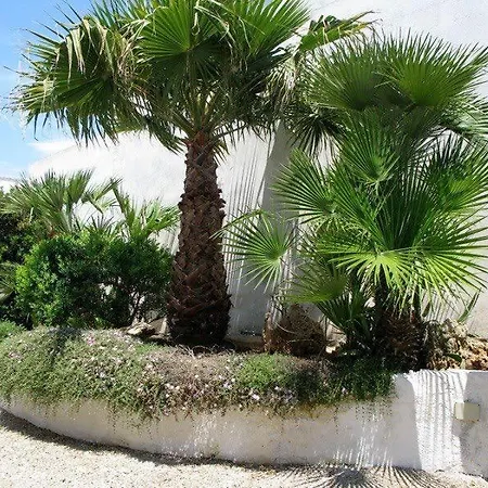 Villa Villa Sul Mare Marina di Mancaversa